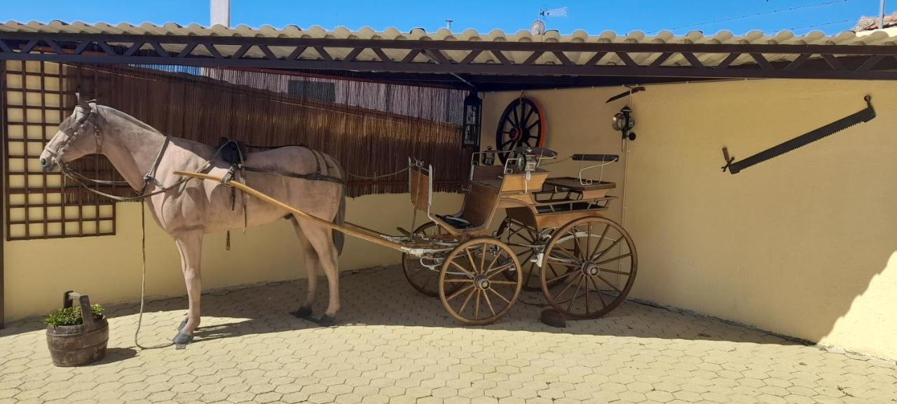 Apartamento Solar Do Madala Seixo da Beira Exterior foto